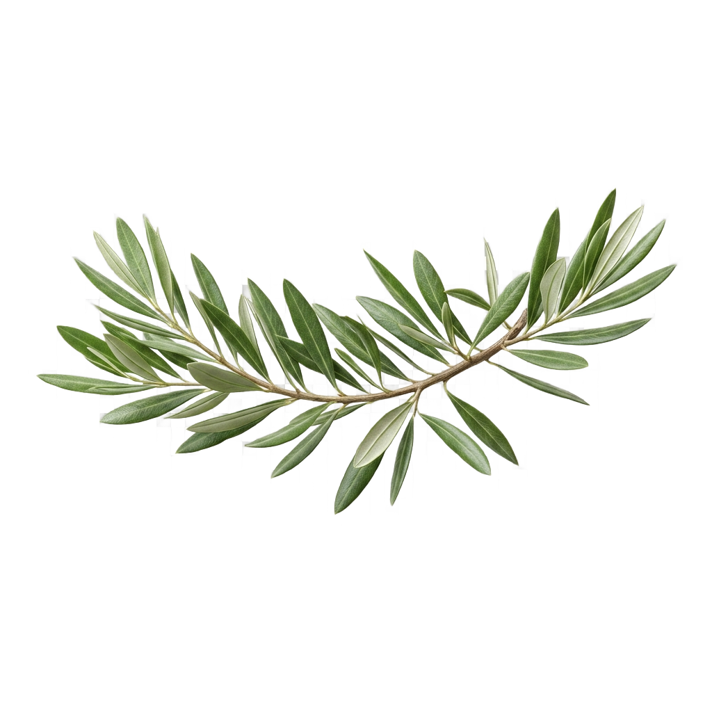 Premium organic leaf decoration